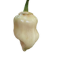 7 Pot White Pepper Seeds