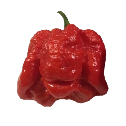 Bahamian Beast Pepper Seeds