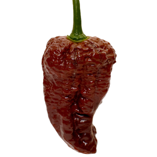 Chocolate Bhutlah Pepper Seeds