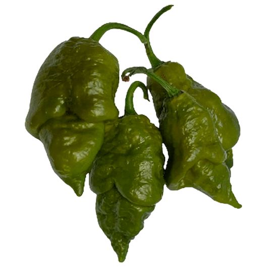 Gator Jigsaw Pepper Seeds